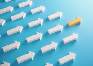 leadership istituzionale